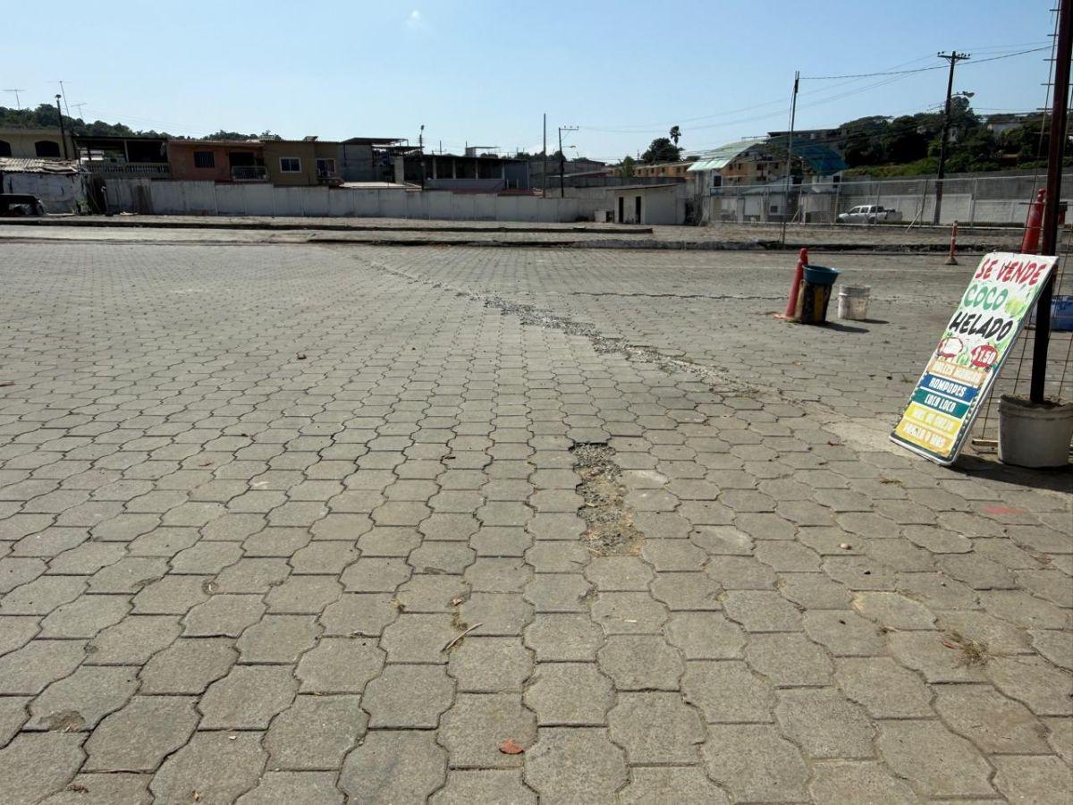 Terreno en Alquiler - Venta 7.000 m² - Av Francisco de Orellana - Al Pie de La Vía - Sector: Mucho Lote, Guayas — imagen 6