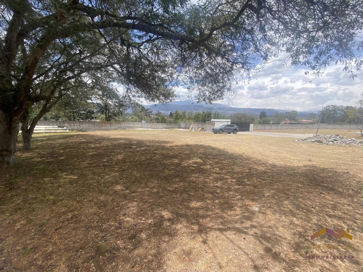 Terreno Plano en Venta en Urbanizacion Exclusiva de 9 Lotes — imagen 10