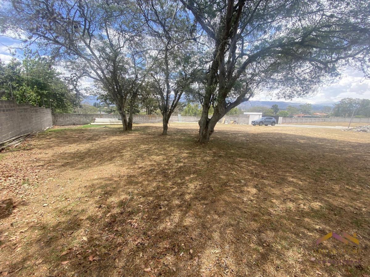 Terreno Plano en Venta en Urbanizacion Exclusiva de 9 Lotes — imagen 9