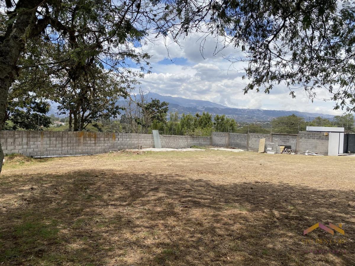Terreno Plano en Venta en Urbanizacion Exclusiva de 9 Lotes — imagen 8