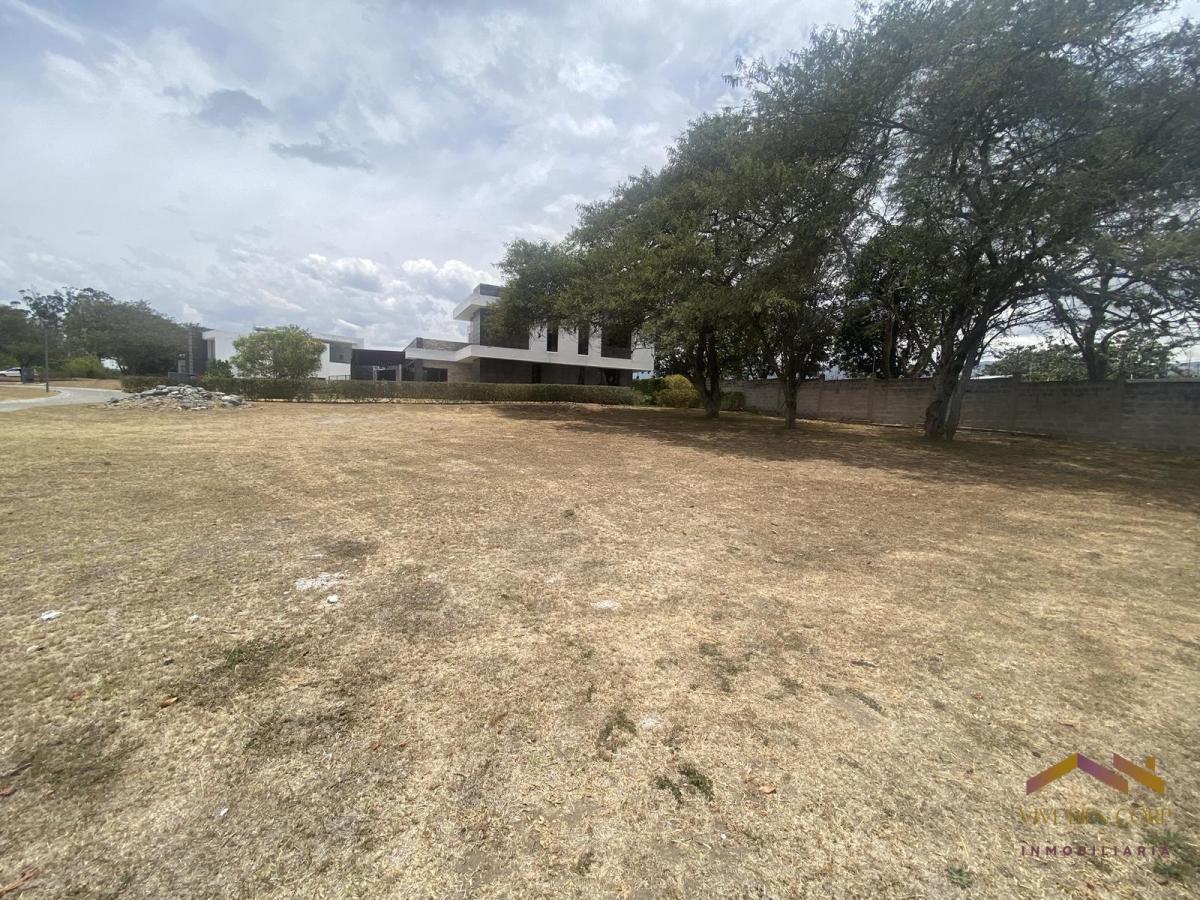 Terreno Plano en Venta en Urbanizacion Exclusiva de 9 Lotes — imagen 5