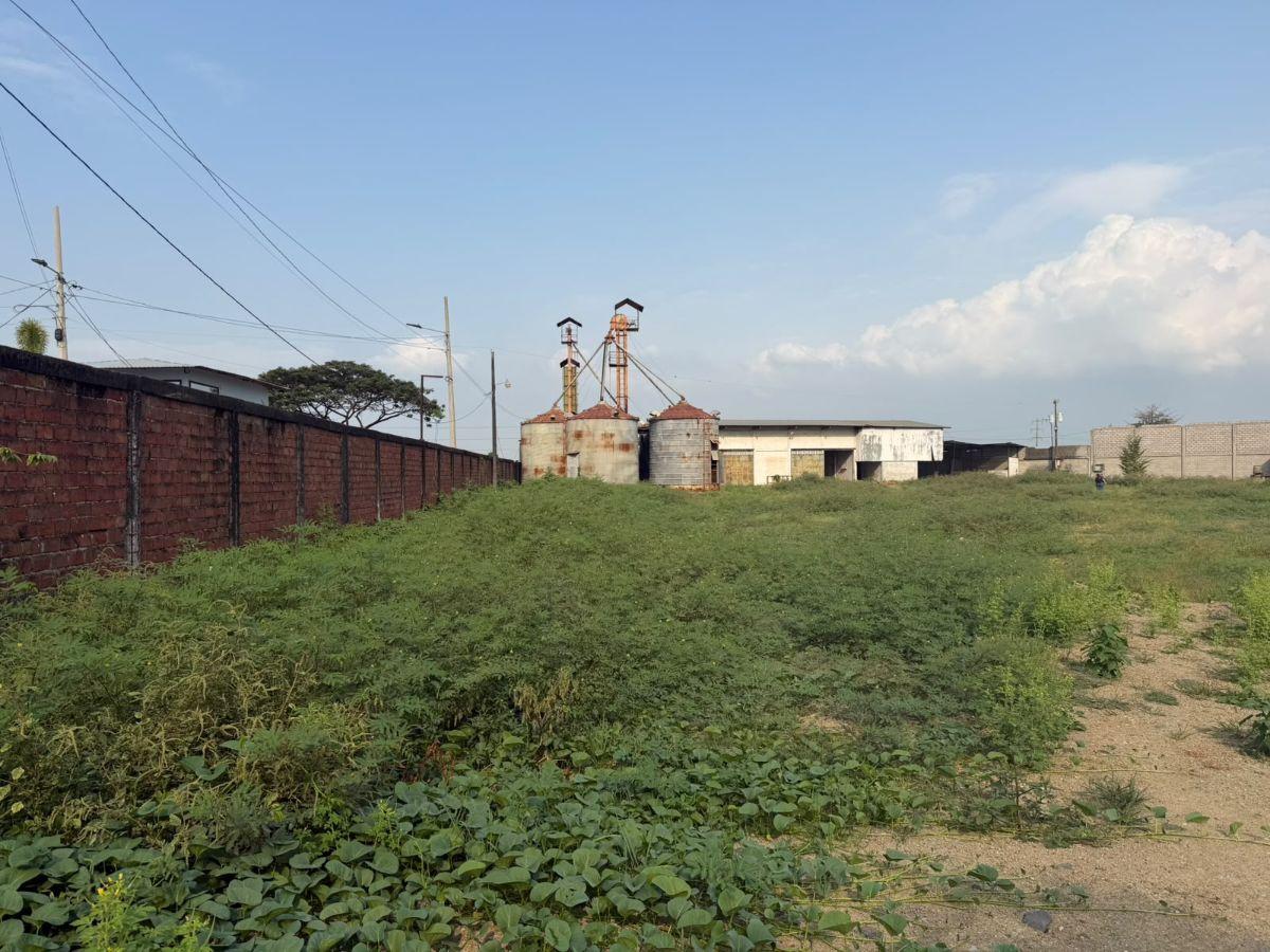 Venta Terreno 7.700 m² - Esquinero, La Barranca, Nuevo Samborondón, Guayas — imagen 9