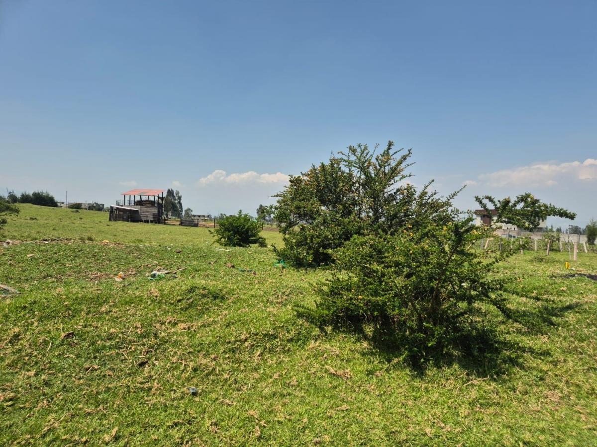 En Venta Bonito Terreno 3.110 m² - Pintag — imagen 5