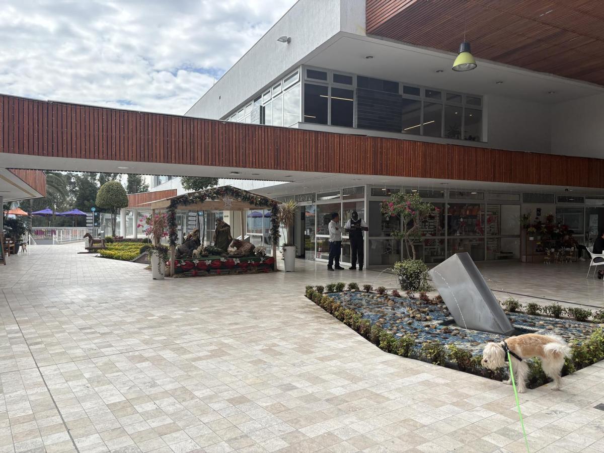 Local Comercial Venta — imagen 8