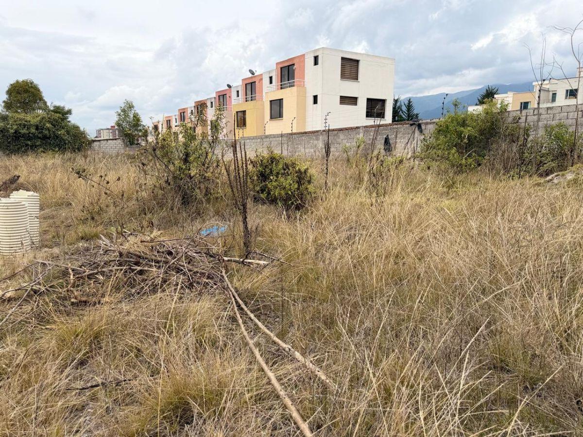 Terreno de 728 m² en Venta en Orquideas del Norte, Sector Amagasí con Guardianía 24/7 — imagen 8