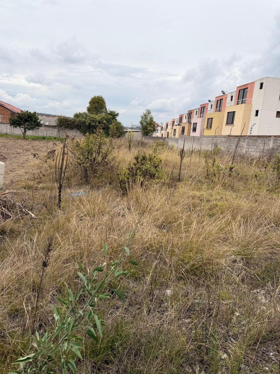 Terreno de 728 m² en Venta en Orquideas del Norte, Sector Amagasí con Guardianía 24/7 — imagen 7
