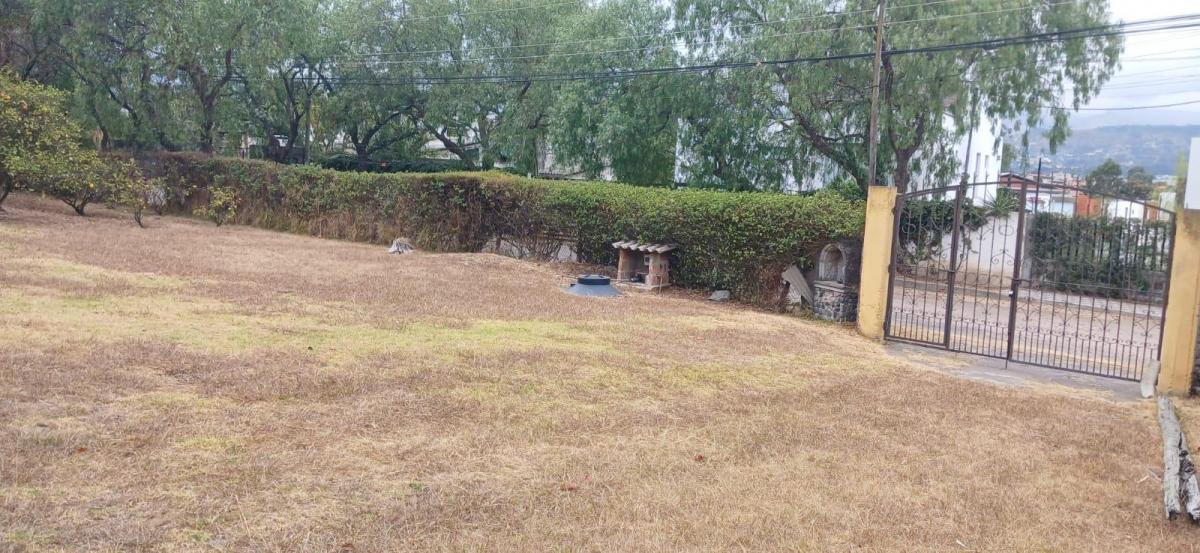 Terreno de Venta en Tumbaco Ideal Para Inversionistas Constructores — imagen 10