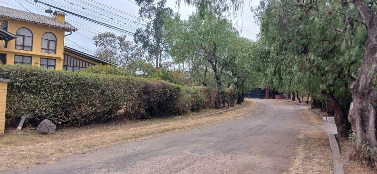 Terreno de Venta en Tumbaco Ideal Para Inversionistas Constructores — imagen 9