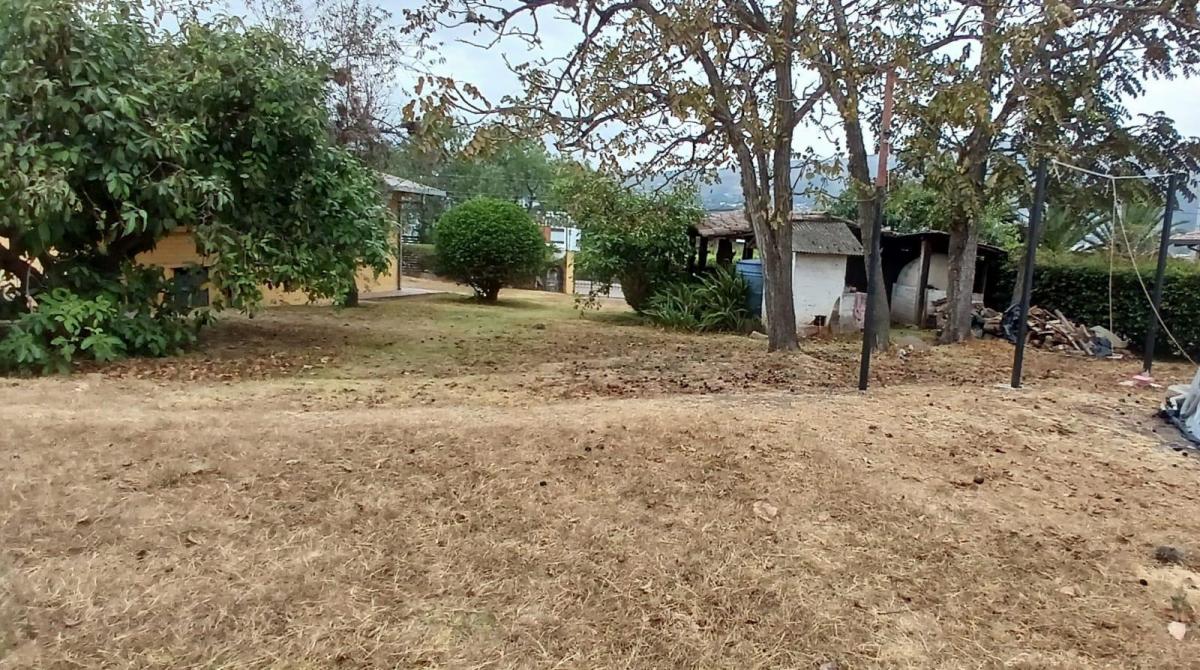 Terreno de Venta en Tumbaco Ideal Para Inversionistas Constructores — imagen 8