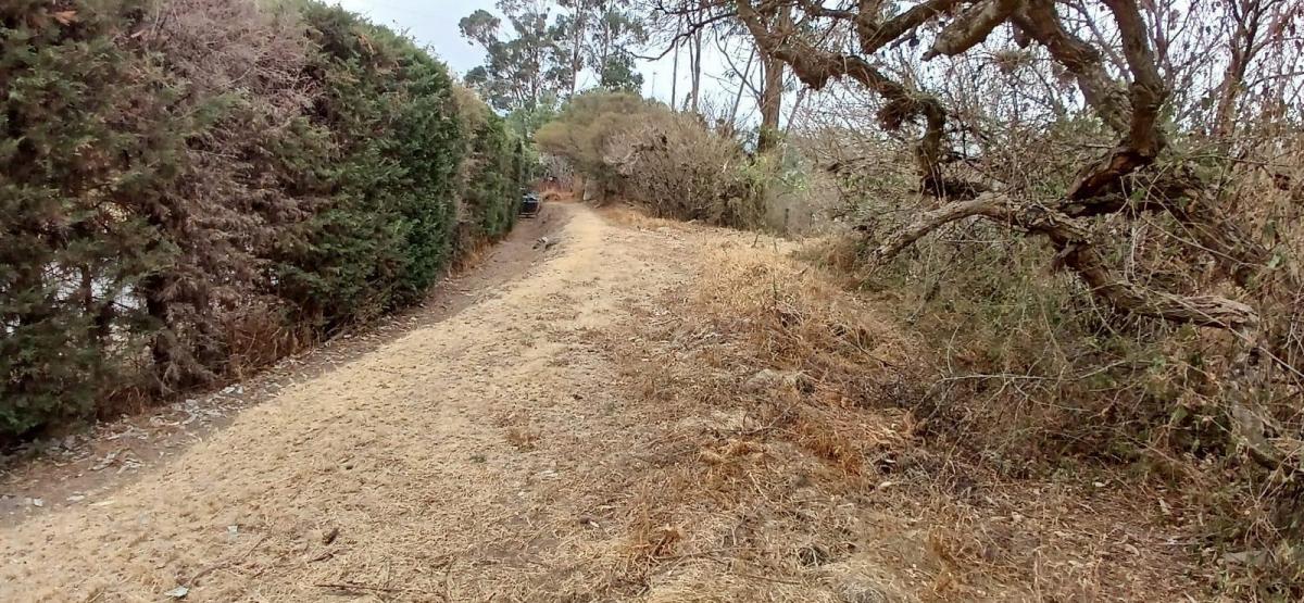 Terreno de Venta en Tumbaco Ideal Para Inversionistas Constructores — imagen 7
