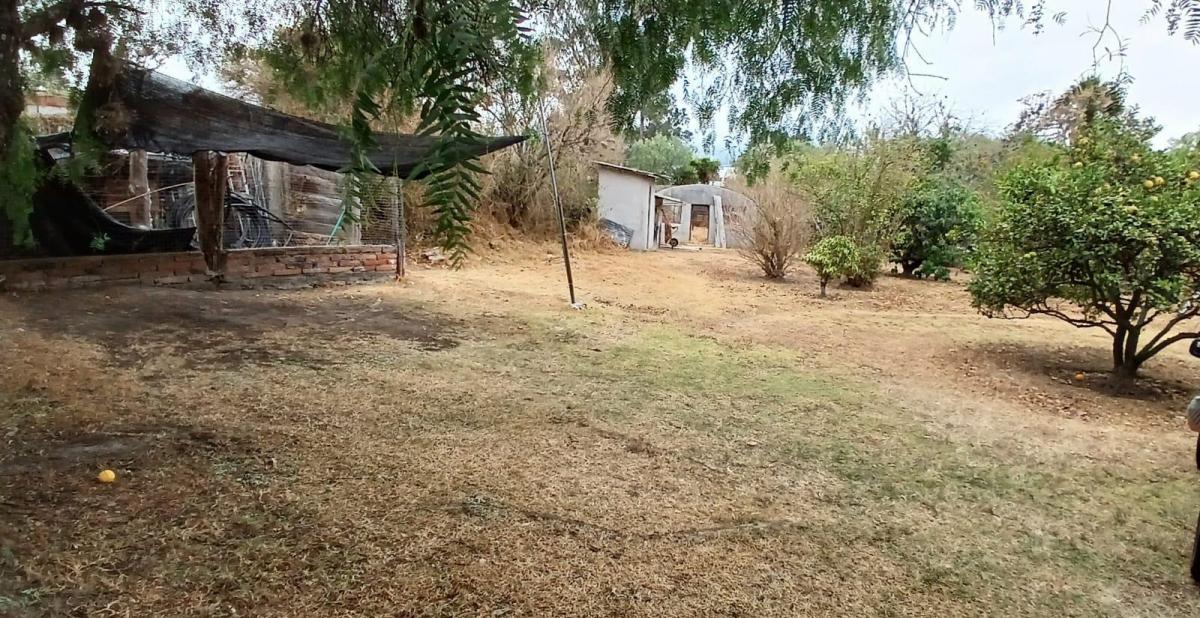 Terreno de Venta en Tumbaco Ideal Para Inversionistas Constructores — imagen 6