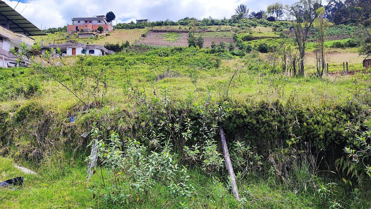 Venta Terreno Conocoto Alto 1400 m² Oportunidad! — imagen 5