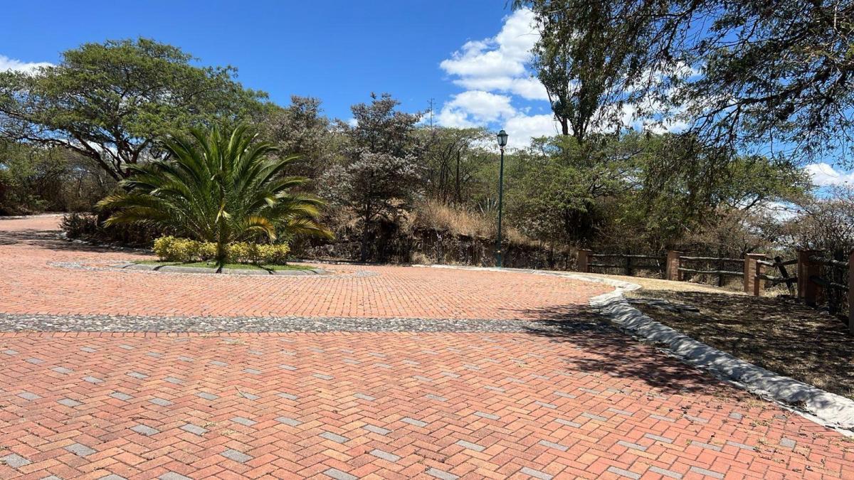 Tumbaco Terreno de Venta en La Urbanizacion La Viña — imagen 9