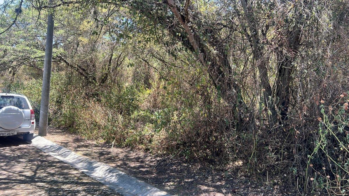Tumbaco Terreno de Venta en La Urbanizacion La Viña — imagen 8