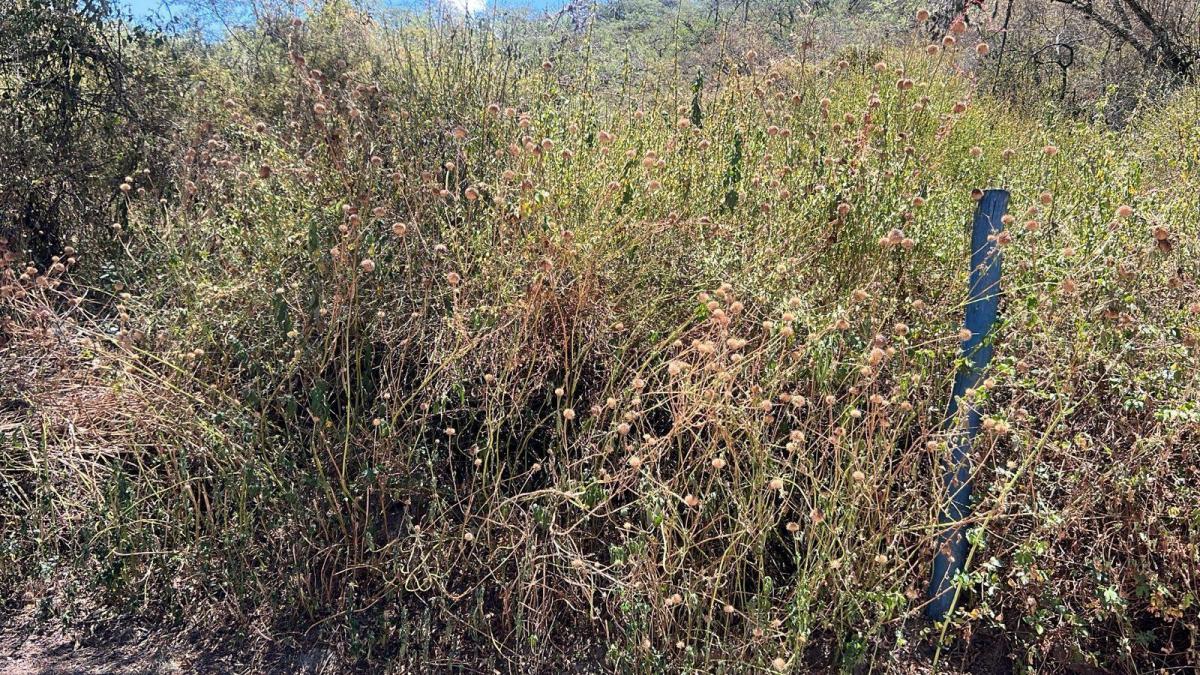 Tumbaco Terreno de Venta en La Urbanizacion La Viña — imagen 7