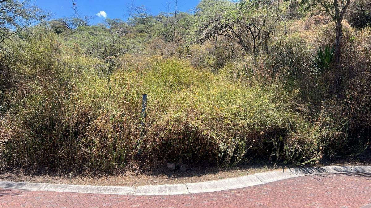 Tumbaco Terreno de Venta en La Urbanizacion La Viña — imagen 6