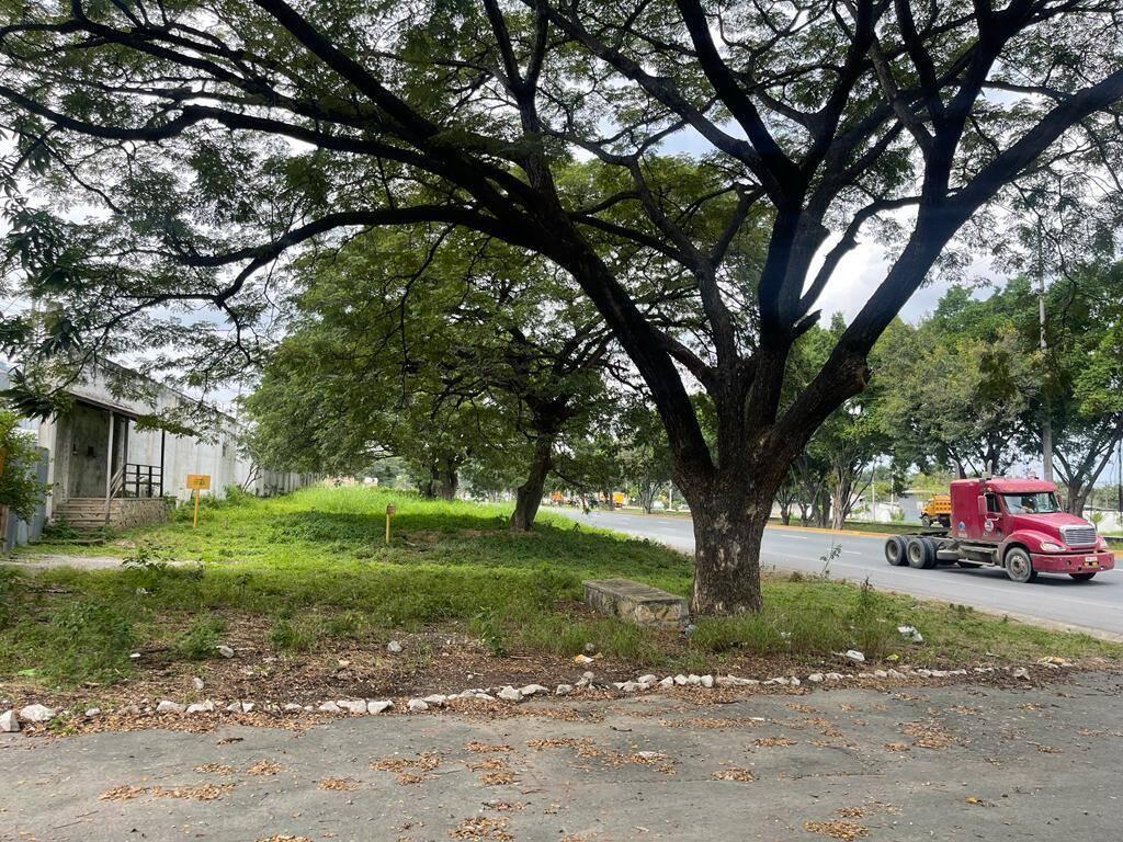 Alquiler Terreno 5000 m², Al Pie de Vía - Vía a La Costa, Sentido Gye - Salinas, Guayas — imagen 3
