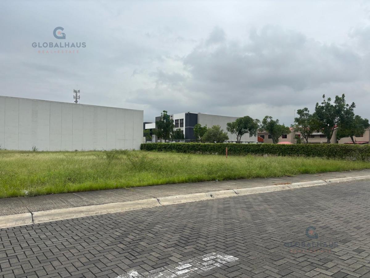 Alquiler de Terreno Esquinero en Plaza Nexus. m. B. Guayas — imagen 8