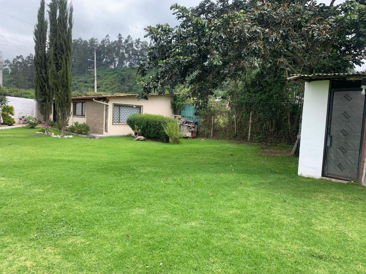 Pifo Venta Hermoso Terreno 1800 m² Tiiene Una Casa Campestre y un Departamento — imagen 3
