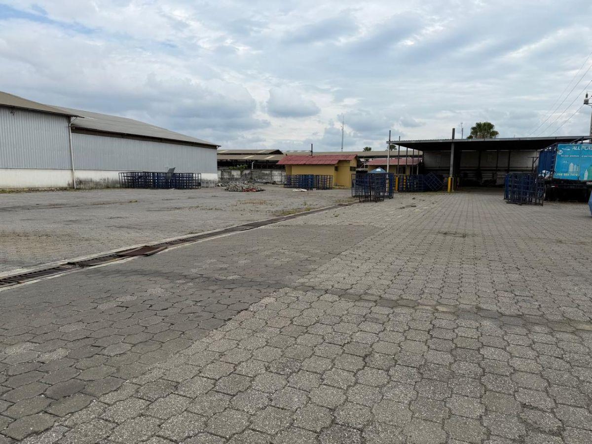 Propiedad en Alquiler 12.000 m² - Galpones y Oficinas - Vía a Daule Km 14.5 - Norte de Guayaquil -, Guayas — imagen 10