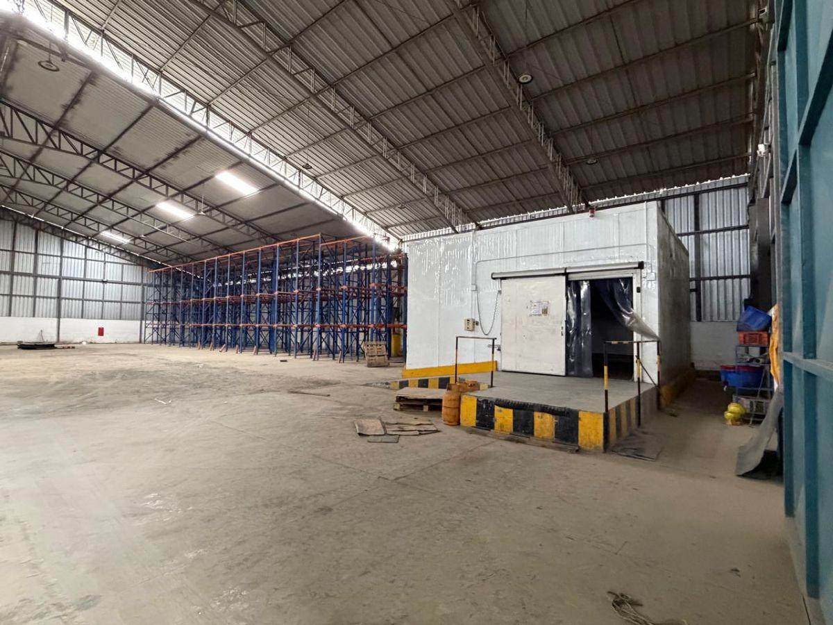 Propiedad en Alquiler 12.000 m² - Galpones y Oficinas - Vía a Daule Km 14.5 - Norte de Guayaquil -, Guayas — imagen 8
