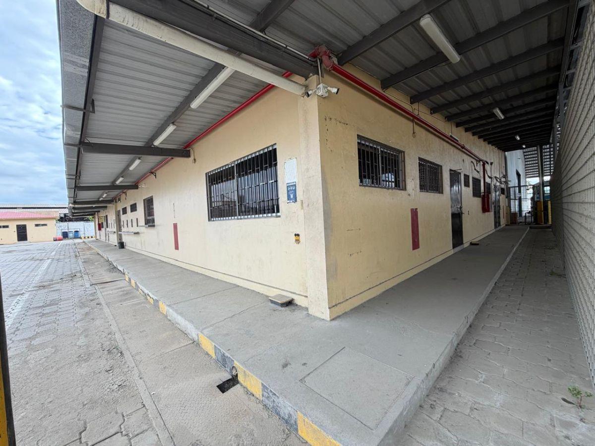 Propiedad en Alquiler 12.000 m² - Galpones y Oficinas - Vía a Daule Km 14.5 - Norte de Guayaquil -, Guayas — imagen 6
