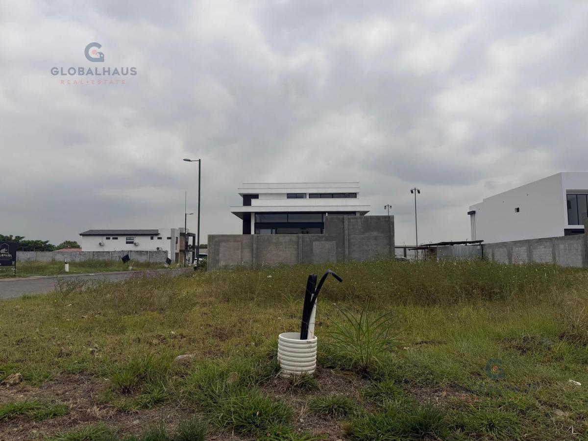 Venta de Terreno Esquinero en Isla Celeste. m. C. Guayas — imagen 8