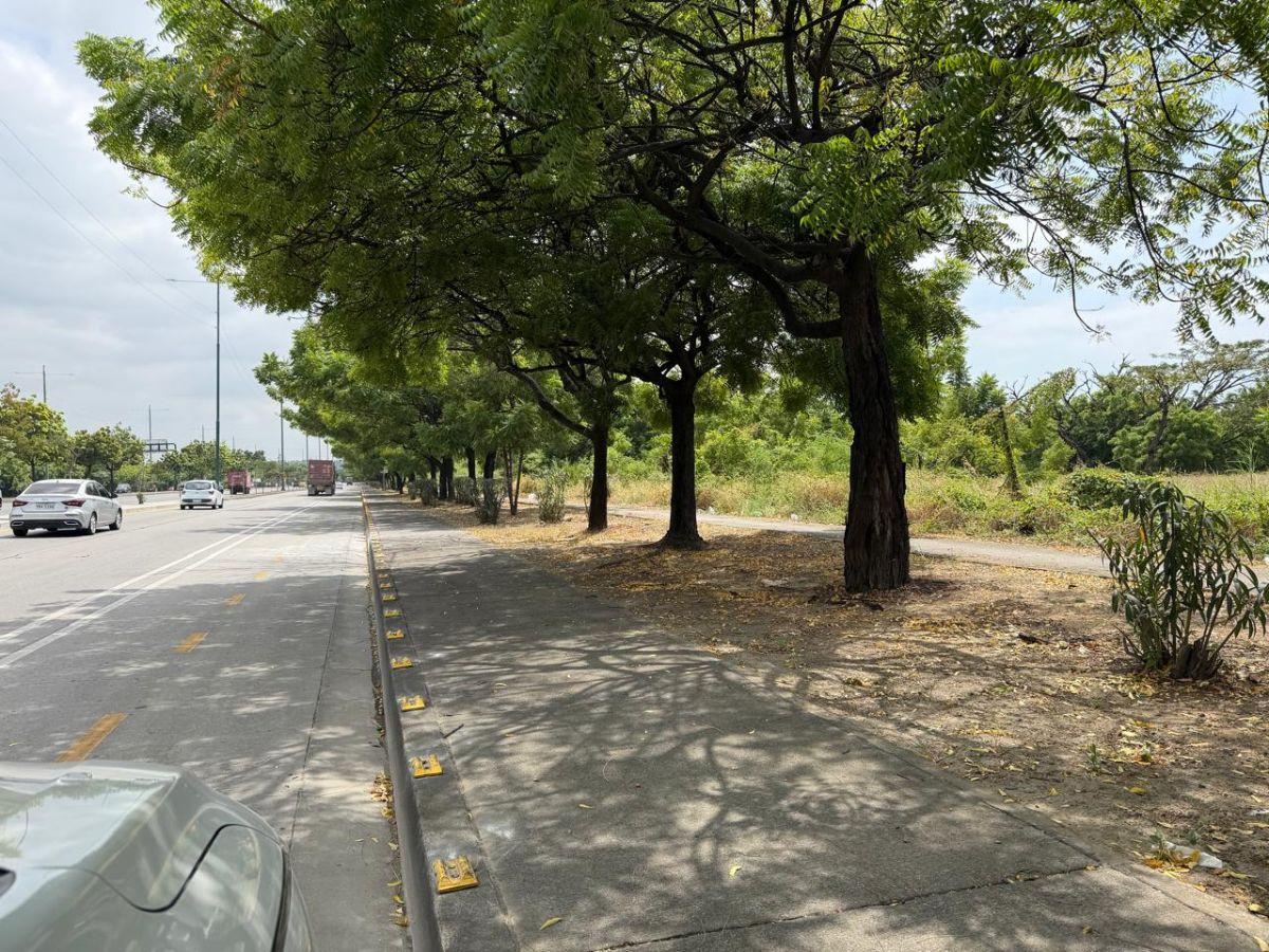 En Alquiler Terreno 15.000 m² - Autopista Narcisa de Jesús. Guayaquil, Guayas — imagen 9