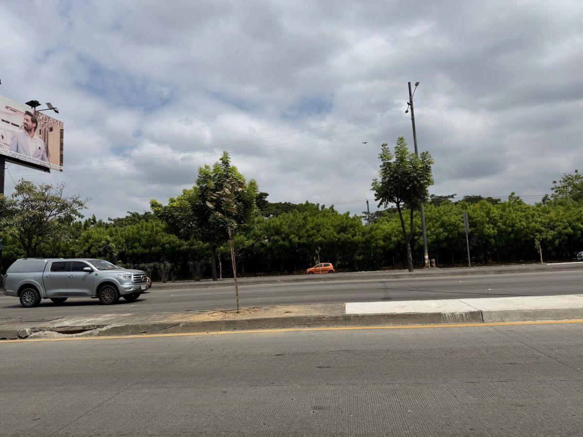 En Alquiler Terreno 15.000 m² - Autopista Narcisa de Jesús. Guayaquil, Guayas — imagen 7