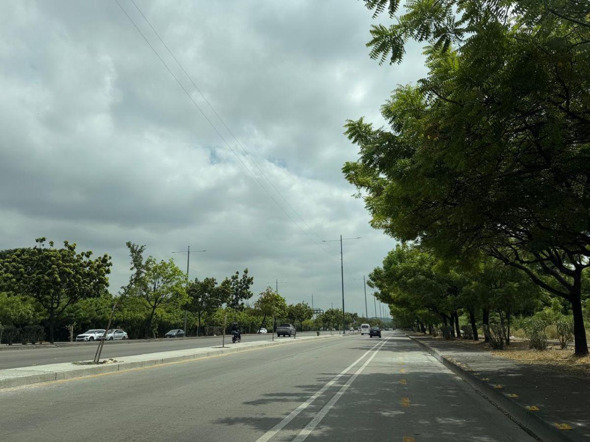 En Alquiler Terreno 15.000 m² - Autopista Narcisa de Jesús. Guayaquil, Guayas — imagen 5