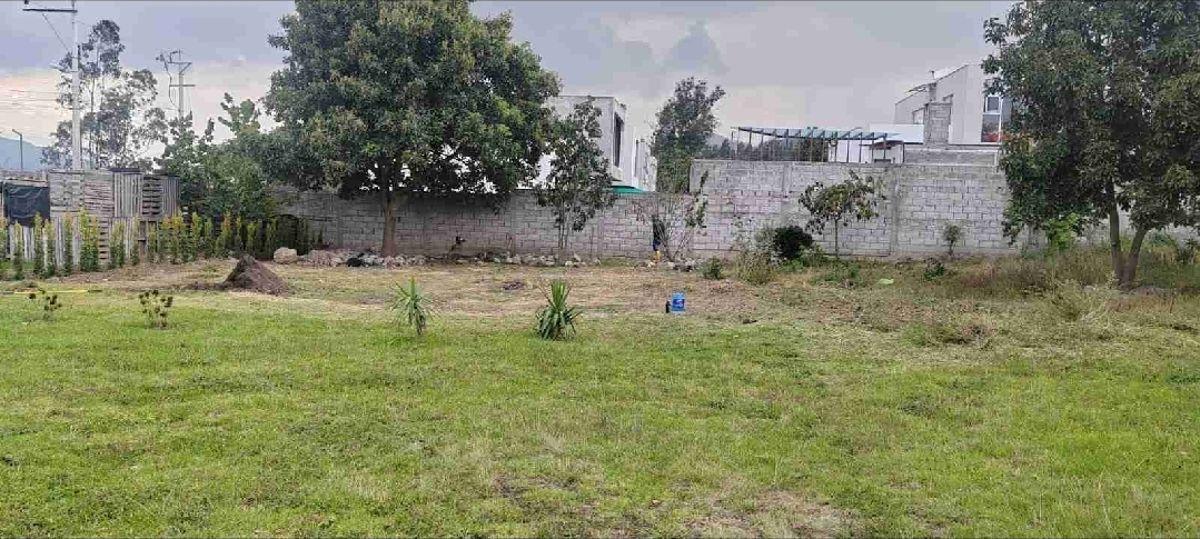 Venta o Renta Terreno Nayon Inchapicho — imagen 5