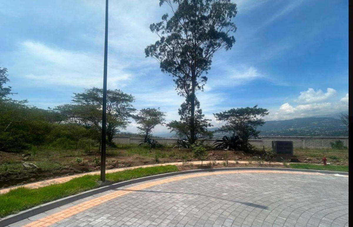 Hermoso Terreno de Venta en Collaquí Tumbaco! — imagen 9