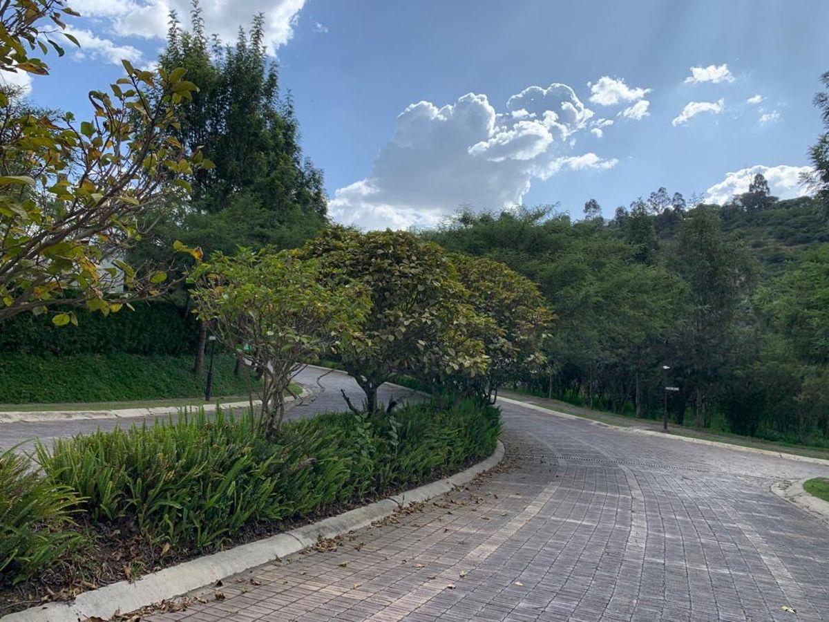 Terreno Excepcional en San Antonio de La Viña, Tumbaco | 1.521 m² — imagen 8