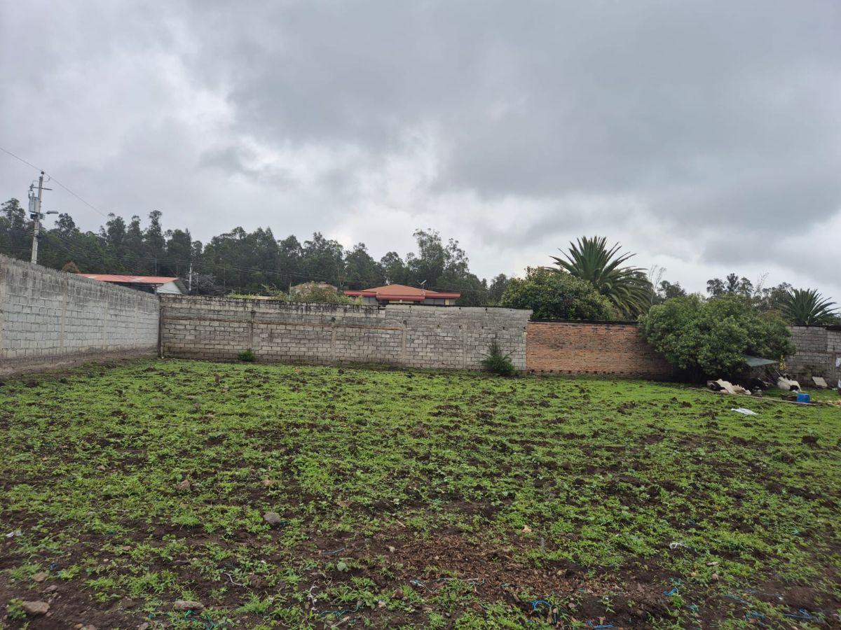 Terreno en Venta Sector Conocoto — imagen 8