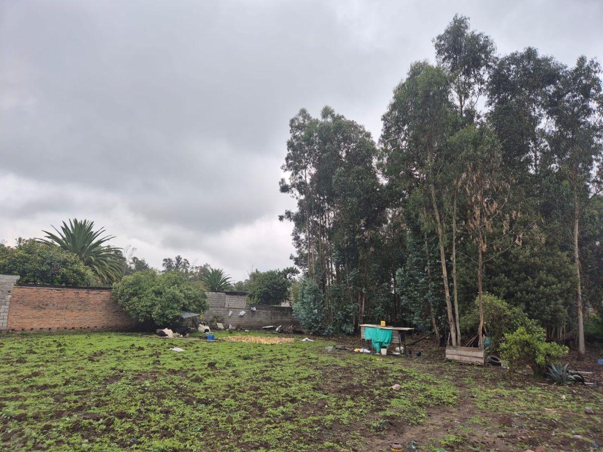 Terreno en Venta Sector Conocoto — imagen 7