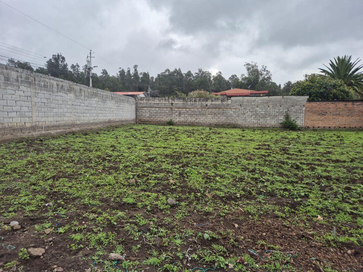 Terreno en Venta Sector Conocoto — imagen 6