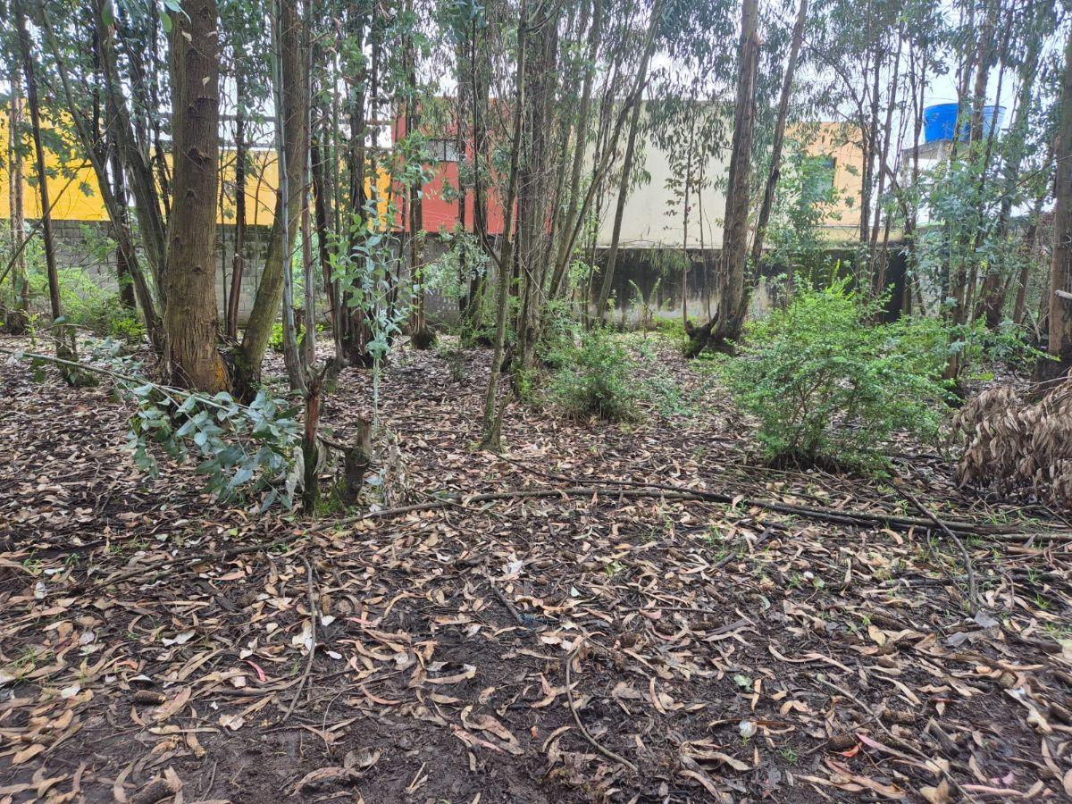 Terreno en Venta Sector Conocoto — imagen 4