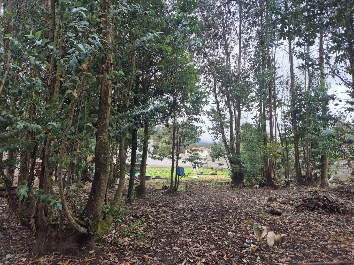Terreno en Venta Sector Conocoto — imagen 3