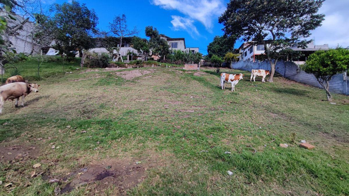 Venta Terreno Tumbaco 1090 m² Comuna Leopoldo Chávez — imagen 6