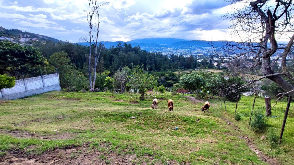 Venta Terreno Tumbaco 1090 m² Comuna Leopoldo Chávez — imagen 5