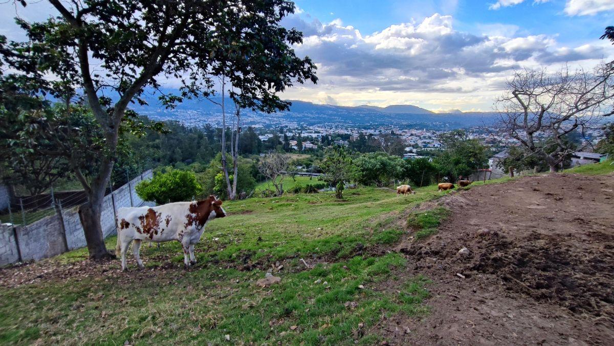 Venta Terreno Tumbaco 1090 m² Comuna Leopoldo Chávez — imagen 3