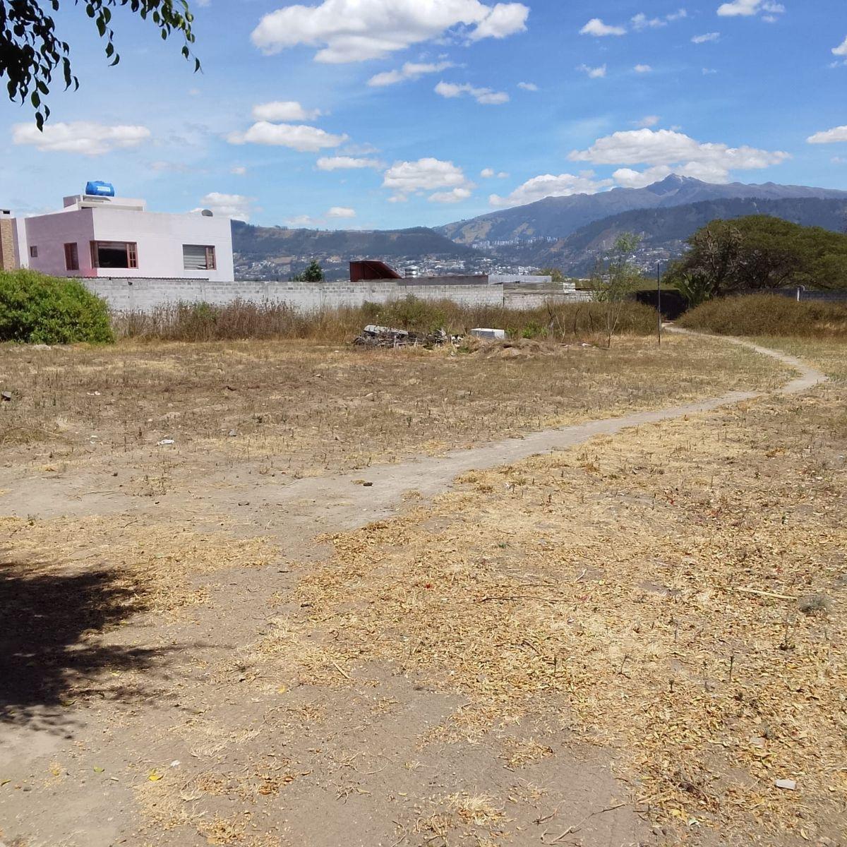 Terreno en Venta en Tumbaco – Sector Santa Rosa | 4.149 m² — imagen 5