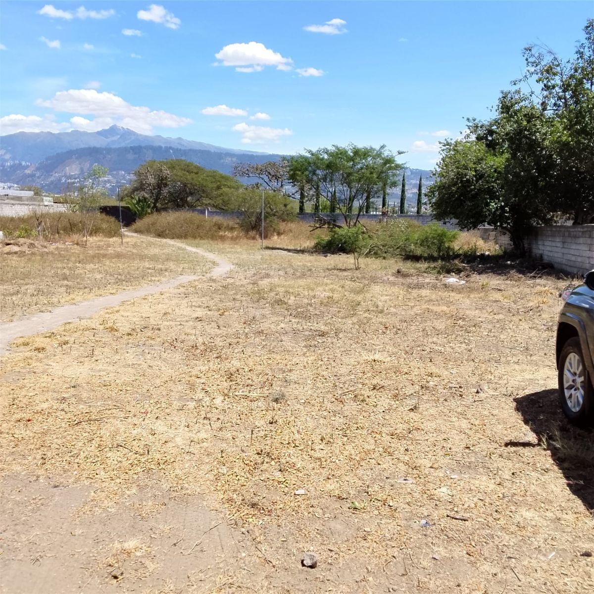Terreno en Venta en Tumbaco – Sector Santa Rosa | 4.149 m² — imagen 3