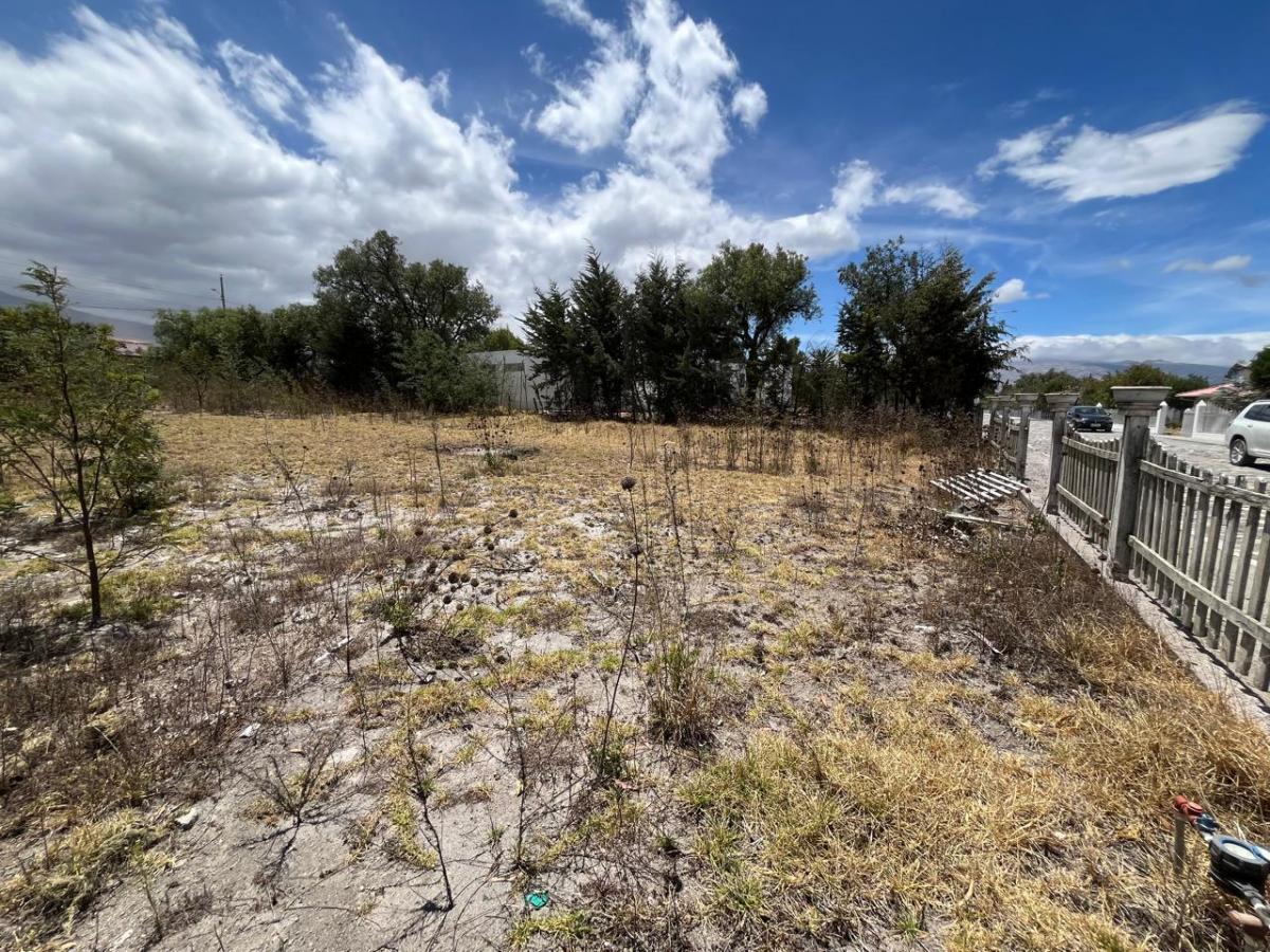 Venta de Terreno Dentro de Conjunto - Malchinguí — imagen 9