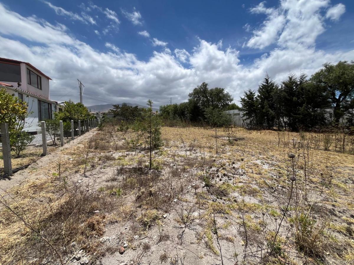Venta de Terreno Dentro de Conjunto - Malchinguí — imagen 8