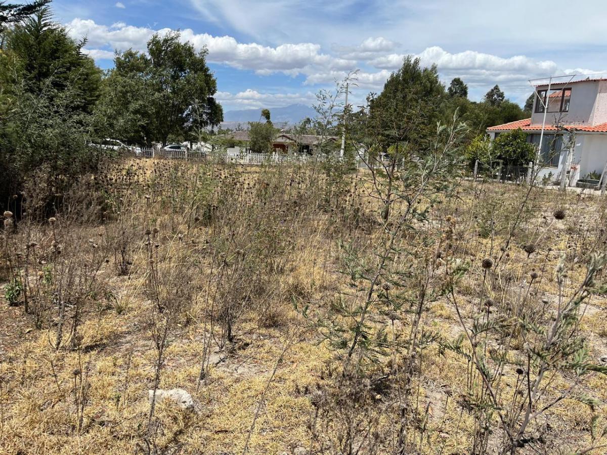 Venta de Terreno Dentro de Conjunto - Malchinguí — imagen 6