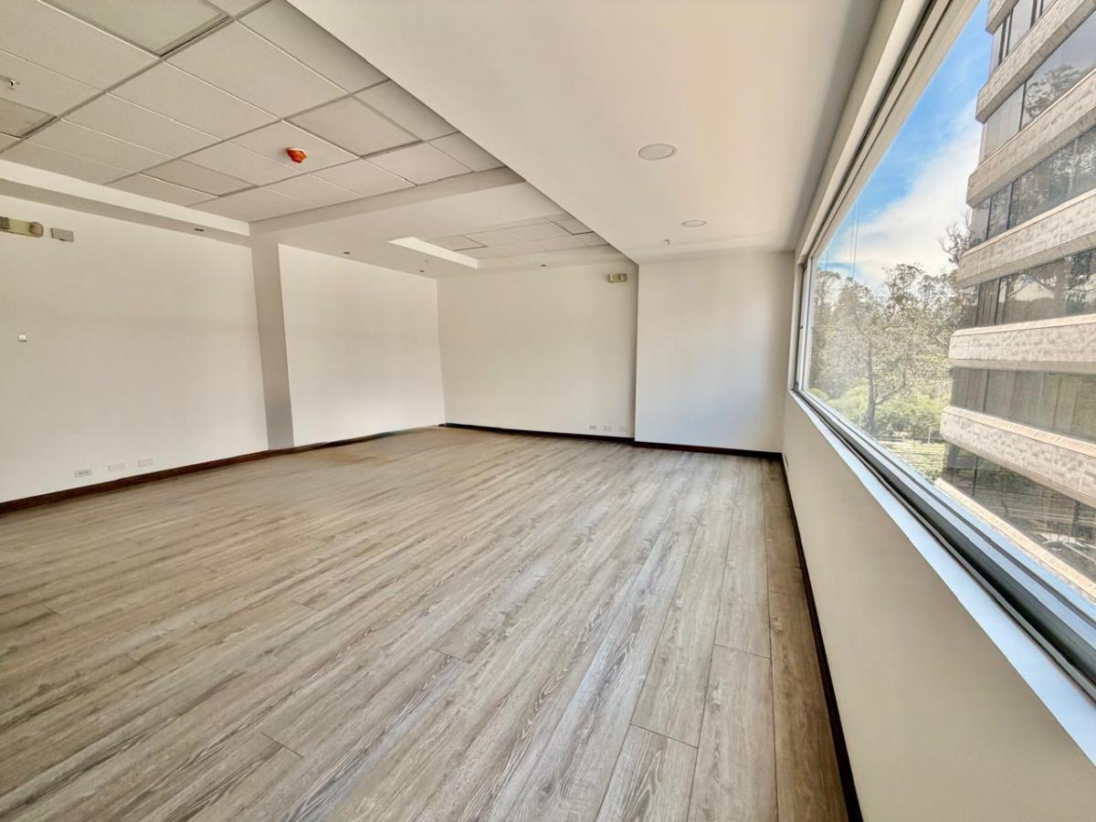 Mgv Venta Oficina Av Amazonas Carolina — imagen 8
