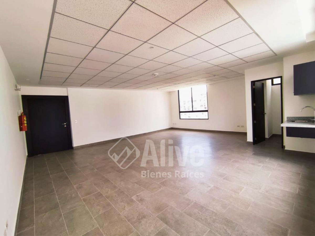 Oficina de Venta en La Carolina — imagen 9