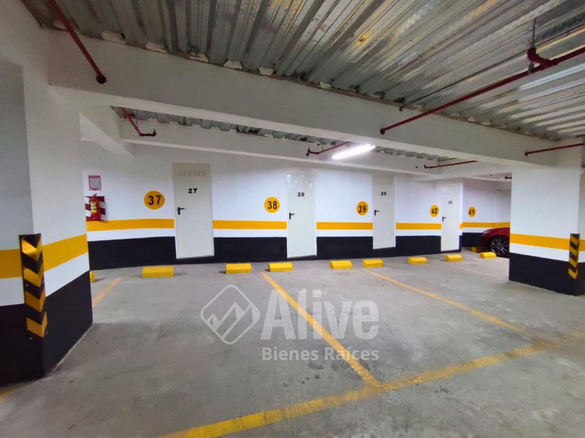 Oficina de Venta en La Carolina — imagen 5