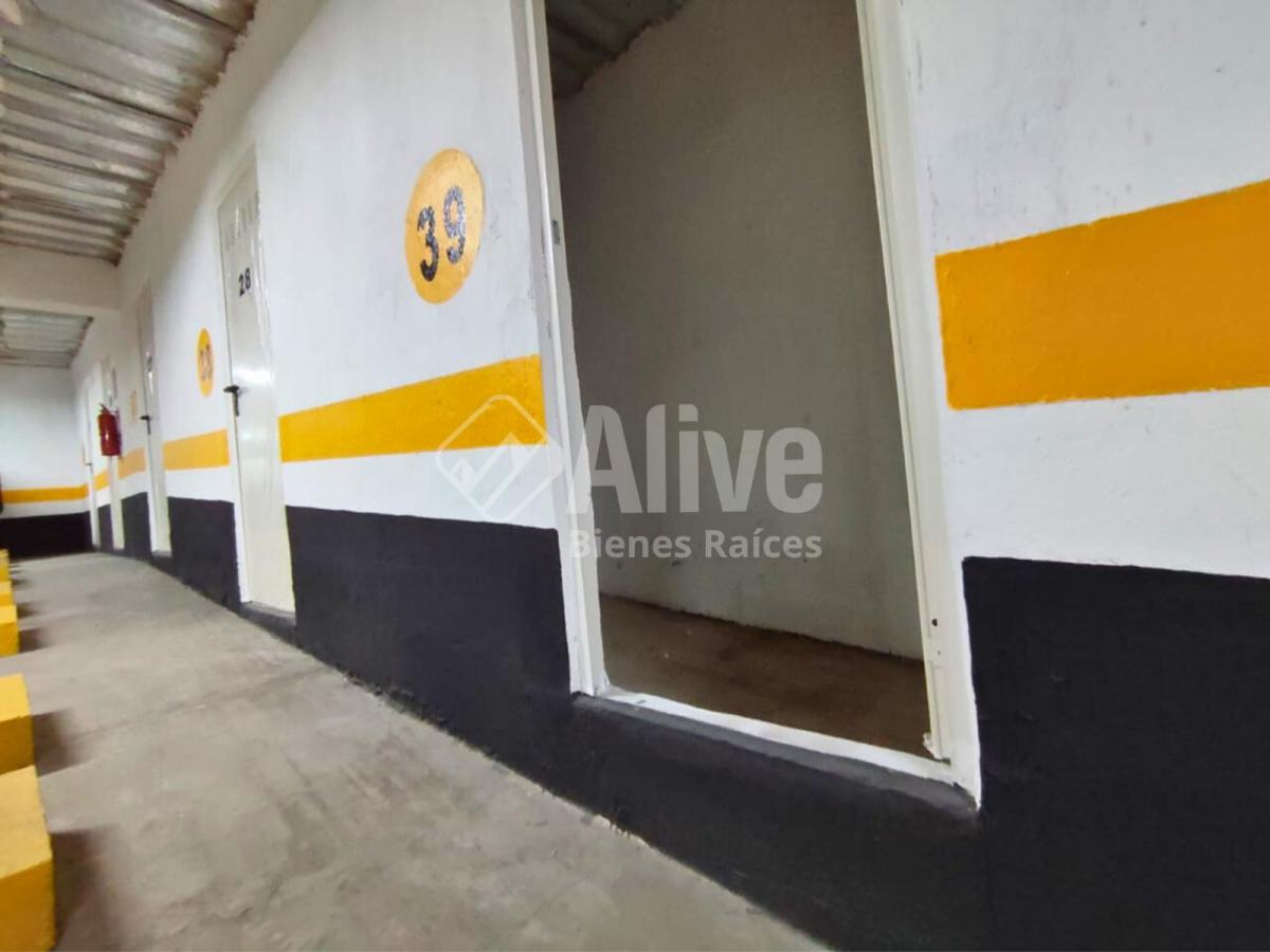 Oficina de Venta en La Carolina — imagen 4